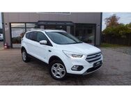 Ford Kuga 2.0 TDCi 4x4 Automatik - Delmenhorst