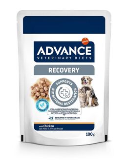 Advance Veterinary Diets Recovery Mini - Sparpaket: 22 x 100 g