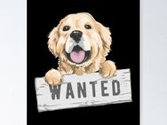 Familienmitglied gesucht - Bergisch Gladbach