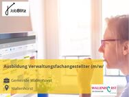 Ausbildung Verwaltungsfachangestellter (m/w/d) - Wallenhorst