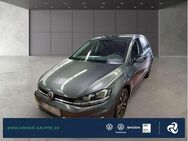 VW Golf, 1.0 TSI VII IQ DRIVE PARKLENK, Jahr 2019 - Fürstenwalde (Spree)