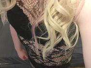 Chubby Sissy sucht Dominanz - Hamburg