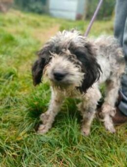 Minnie in großer Not ‼️ - Würzburg