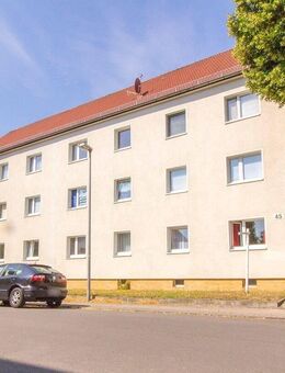 Komfortable Wohnung - 4 Zimmer Wohnung im Grünen in saniertem Altbau, 2 Tageslichtbäder! - Leipzig