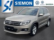 VW Tiguan, 2.0 TDI R-Line, Jahr 2015 - Ibbenbüren