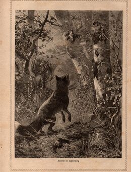 Alte Grafik : Reineke im Dohnenstieg . Fuchs , Natur , Blatt aus Das Neue Blatt ., Blatt 30,5cm x 22cm , M7 - Görlitz