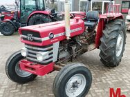 Massey Ferguson 158 Multipower, BJ 1972, HU Neu, diverse Neuteile - Apen