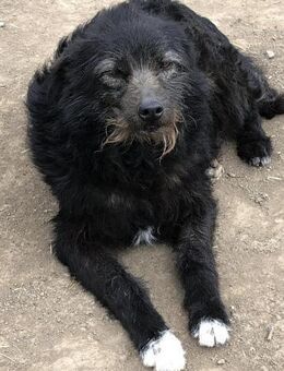 Alma- chancenlos weil schwarz? - Nürnberg