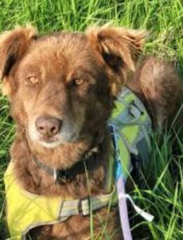 Gibst du Hermine eine zweite Chance? - München