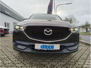 Mazda CX-5 194PS Automatik EXCLUSIVE-LINE 360°Kamera *Winterräder* - Meschede (Kreis- und Hochschulstadt)