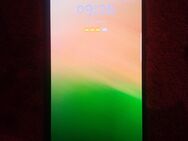 Samsung galaxy A33 5G 256GB - Attendorn (Hansestadt)