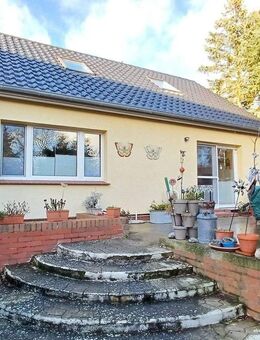 Einfach genießen... - Lelkendorf