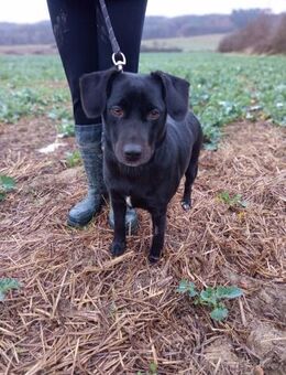 LEA - freundlich und dankbar für Liebe - Overath