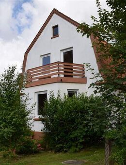 Neuhaus-Oste! Umfangreich modernsiertes Wohnhaus mit großem Grundstück! - Neuhaus (Oste)