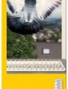 SCHELLENBERG Taubenspikes Taubenabwehr-Set Standard, 49x4,3x2 cm, Vogelabwehr unauffällig durch semi-transparentes Material