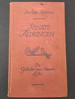 Siegfried Trebitsch - Renate Aldringen Die Geschichte einer Sommerliebe 1929 - Nürnberg