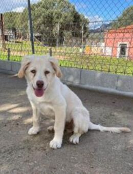 Qui wünscht sich glückliches Leben - Neuss