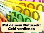 💵 Mit deinem NS Geld verdienen 💵 - Bruchsal