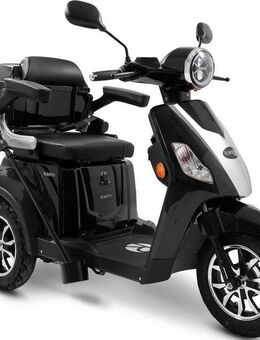 Rolektro Elektromobil Rolektro E-Trike 25 V.3, Lithium Akku, 1000 W, 25 km/h, (mit Topcase)