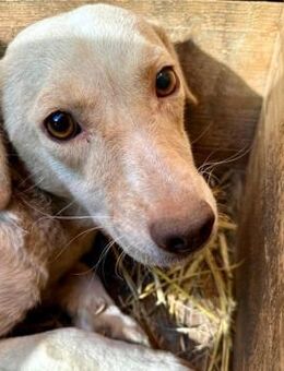 JOHANNA ~ solte zeithah reisen - Duisburg