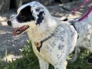Schreibst du mit an Fleckis Happy End? - München