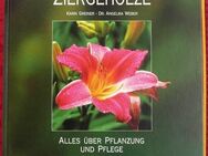 Falken Gartenbuch – Blumen Stauden Ziergehölze  ein tolles Buch über Pflanzung und Pflege - Niederfischbach