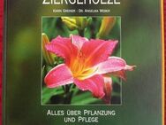 Falken Gartenbuch – Blumen Stauden Ziergehölze ein tolles Buch über Pflanzung und Pflege - Niederfischbach