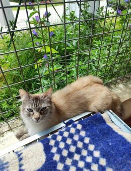 Liebe Dora - Eichenzell