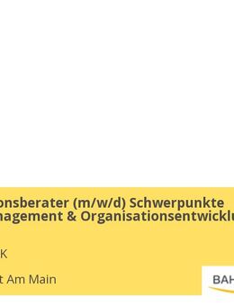 Organisationsberater (m/w/d) Schwerpunkte Projektmanagement & Organisationsentwicklung - Frankfurt (Main)