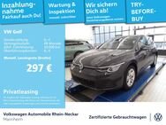 VW Golf, 2.0 TDI VIII Life Gar 2029, Jahr 2024 - Mannheim