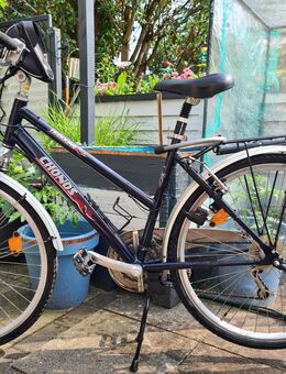 Fahrrad Damen/Herren 28 Zoll - Heidenau (Niedersachsen)