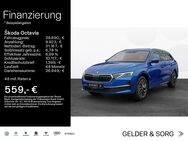 Skoda Octavia, 2.0 TDI Combi Tour ||||, Jahr 2022 - Coburg