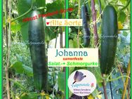 ♥ BIO Salatgurke Johanna samenfeste, historische alte Sorte, Samen,Tulpenstolz Garten,dunkelgrün,bitterfrei,Gurke, Cucumis sativus,seeds,herbs,Saatgut,Sämereien - Hamburg