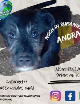 ANDRA - neugierig auf's Leben - Waakirchen