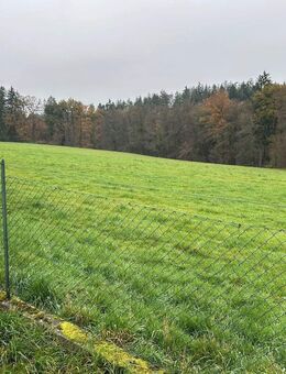 Mehrfamilienhaus mit 3 Wohneinheiten zu verkaufen - Eggenfelden