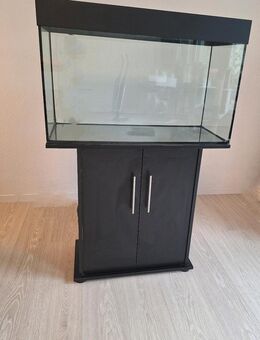 Vivantis LED-Aquarium Komplettset 80 inkl.Unterschrank + Zubehör - Verden (Aller)