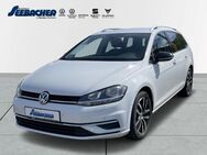 VW Golf Variant, 1.6 TDi VII IQ Drive Rü, Jahr 2019 - Neuried (Baden-Württemberg)
