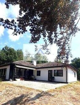 1.310 m² Garten mit modernisiertes Haus sucht glückliche Familien mit großem Garten in Röttenbach direkt am Wald - Röttenbach (Landkreis Erlangen-Höchstadt)