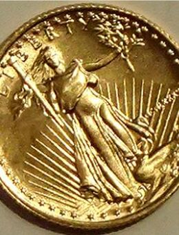 USA – American Eagle – 5 Dollar Goldmünze - Kämpfelbach