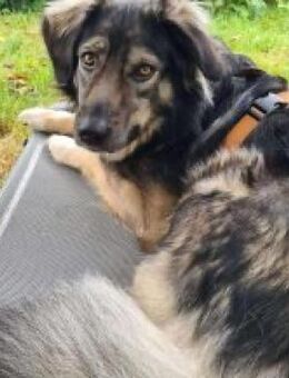 Kaja H - Die Hübsche 💕 - Elsdorf (Nordrhein-Westfalen)