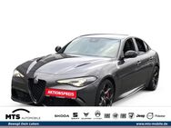 Alfa Romeo Giulia, 2.9 EU6d Quadrifoglio V6 Bi-Turbo 375kW (510PS AD El Fondsitzverst, Jahr 2023 - Oberursel (Taunus)