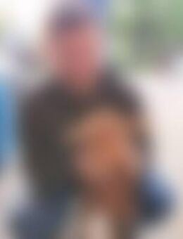 T71*** - Sachsenheim