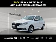 Skoda Fabia, Cool Plus 44kw, Jahr 2019 - Hofgeismar