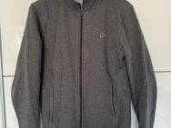 Lacoste Sweatshirt - Norderstedt