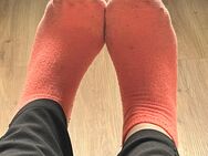 5 Tage getragene Socken - Halle (Saale)