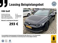 VW Golf, 1.5 VIII eTSI Move, Jahr 2023 - Luckenwalde