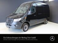 Mercedes Sprinter, 317 KASTEN STANDARD HOCH °, Jahr 2022 - Trier