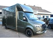 Mercedes-Benz Sprinter Pferdetransporter 3,5t 3 Sitze - Led... - Selent