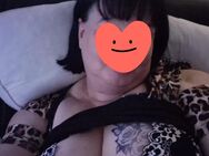 Translady bietet Sinnliche Streichel Massage für den Reifen Herren - Greven (Nordrhein-Westfalen)