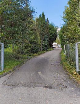 Traumhaftes Anwesen, 330 qm Wfl, 1700/2600 qm, bis zu 5 WE, Ortsrand Aistaig - Oberndorf (Neckar)